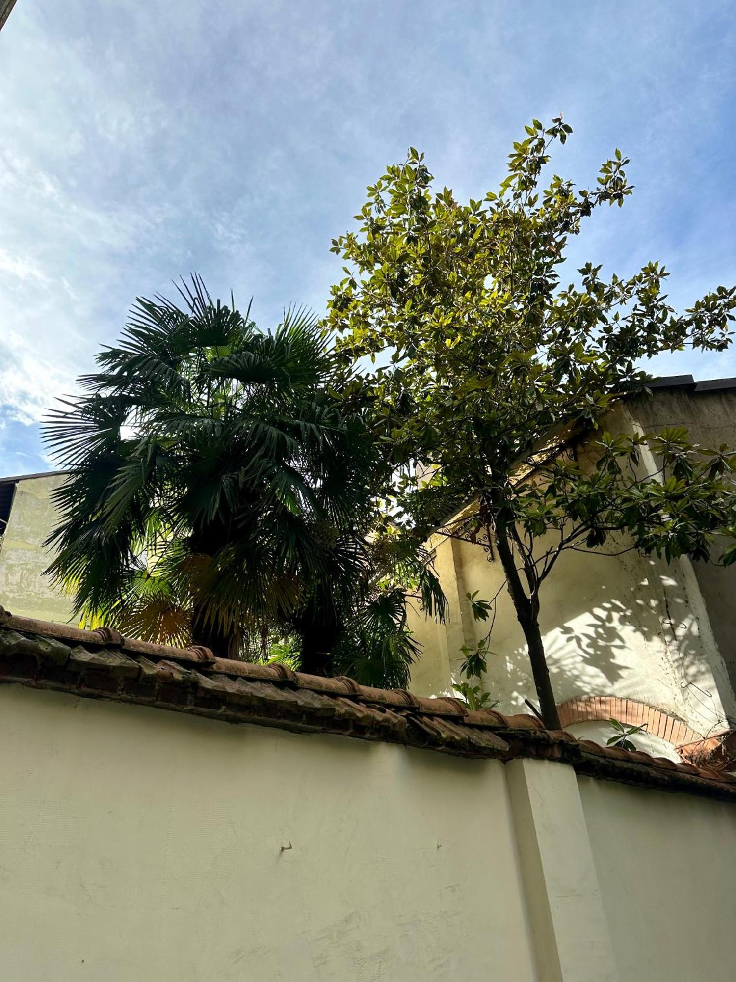Lr Deluxe Apartments - Porta Venezia - Bilocale Con Giardino Privato Milano Dış mekan fotoğraf