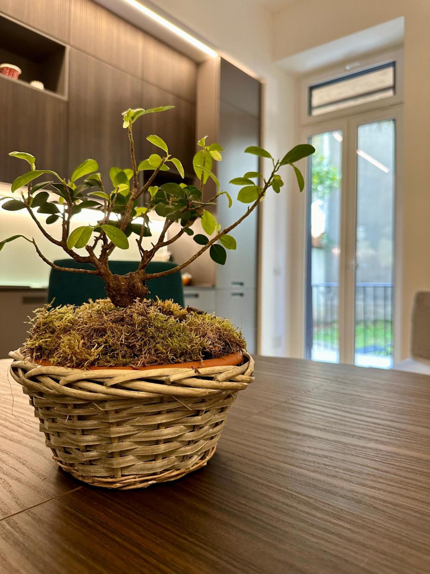Lr Deluxe Apartments - Porta Venezia - Bilocale Con Giardino Privato Milano Dış mekan fotoğraf